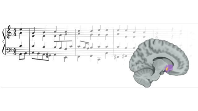 How Music Activates Our Brain's Reward Center | Technology Networks