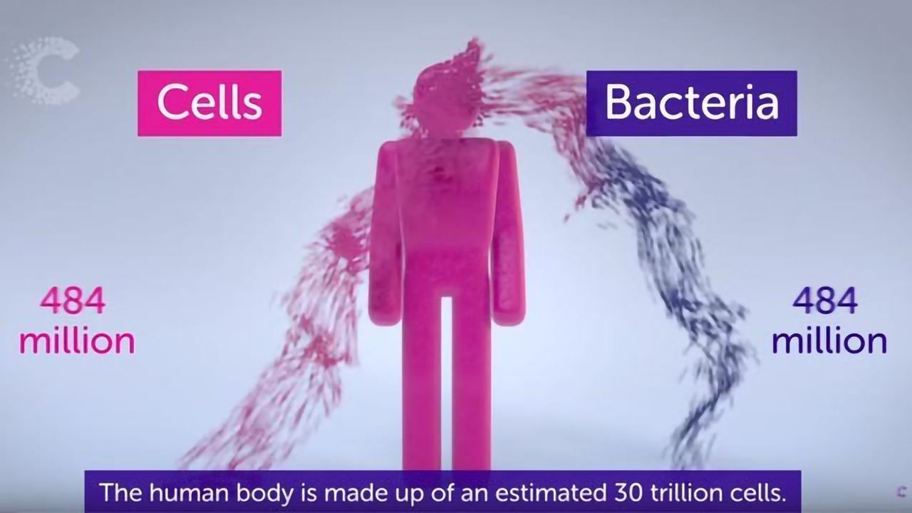 The Microbiome: How Might Gut Bacteria Help Treat Cancer?