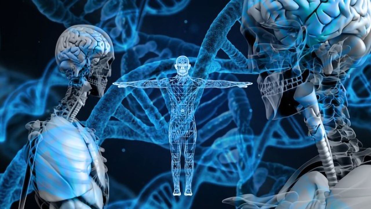 The Human Immune System Decoded