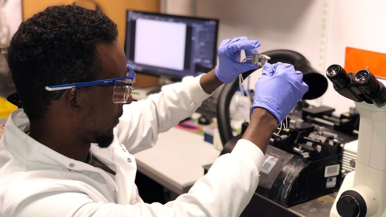 Fluorescent Biosensors as Tools for Drug Therapeutics
