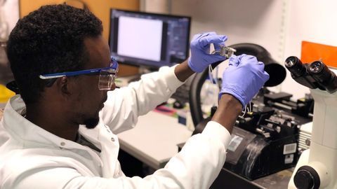 Fluorescent Biosensors as Tools for Drug Therapeutics