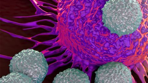 Pathios Therapeutics and Sygnature Discovery Sign a Strategic and Innovative Partnership