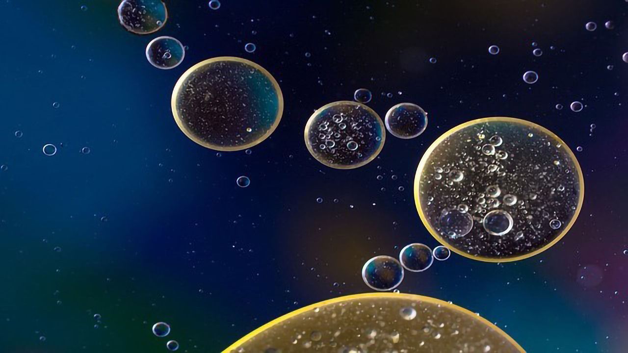 Lipidomics: A Rising Star in “OMICS” Research