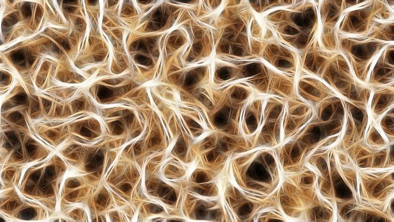 A Fine Balance Between Excitation and Inhibition