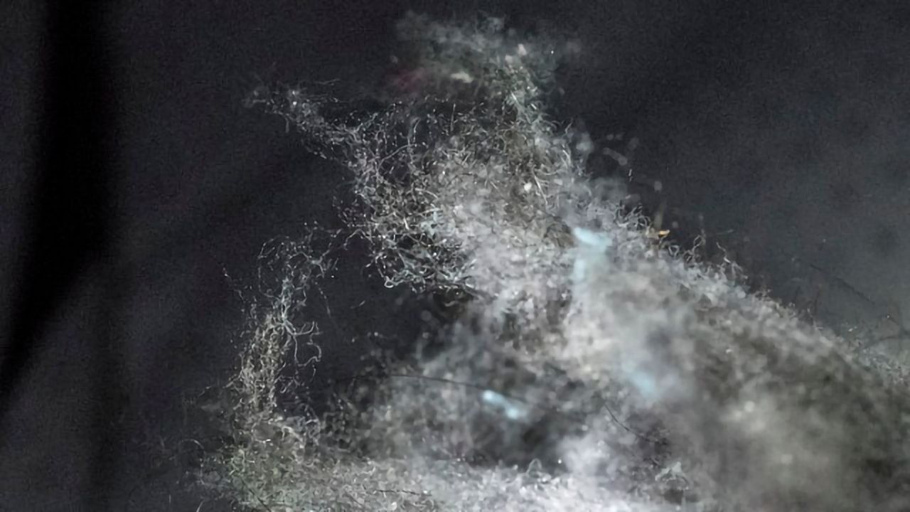 Unseen Plastic Pollution From Tiny Fibers