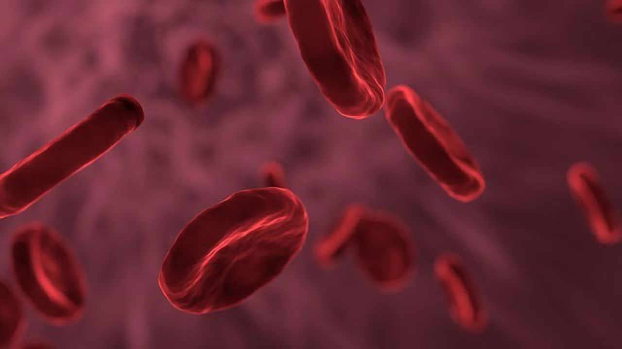 A Better Understanding of How the Body Regulates Blood Clots