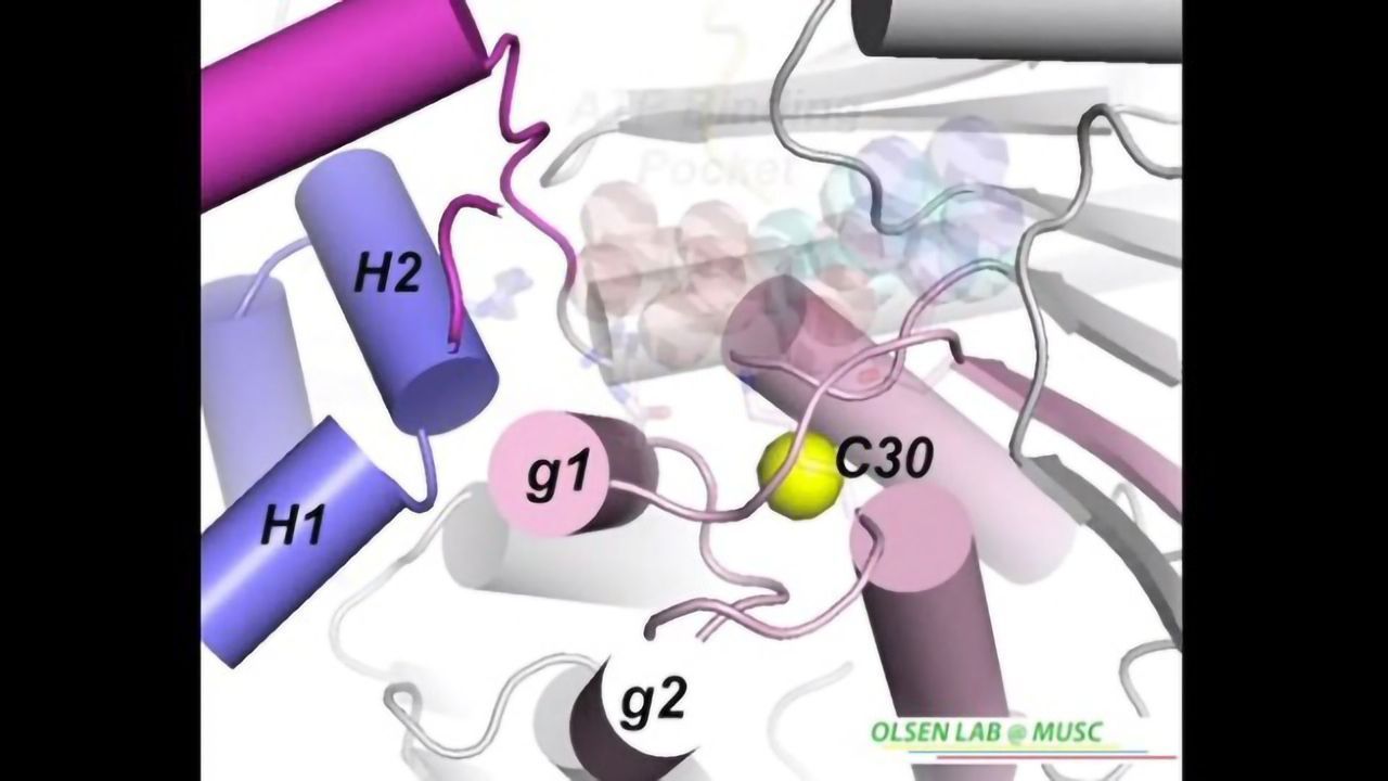 Novel Binding Site for Anti-cancer Drugs