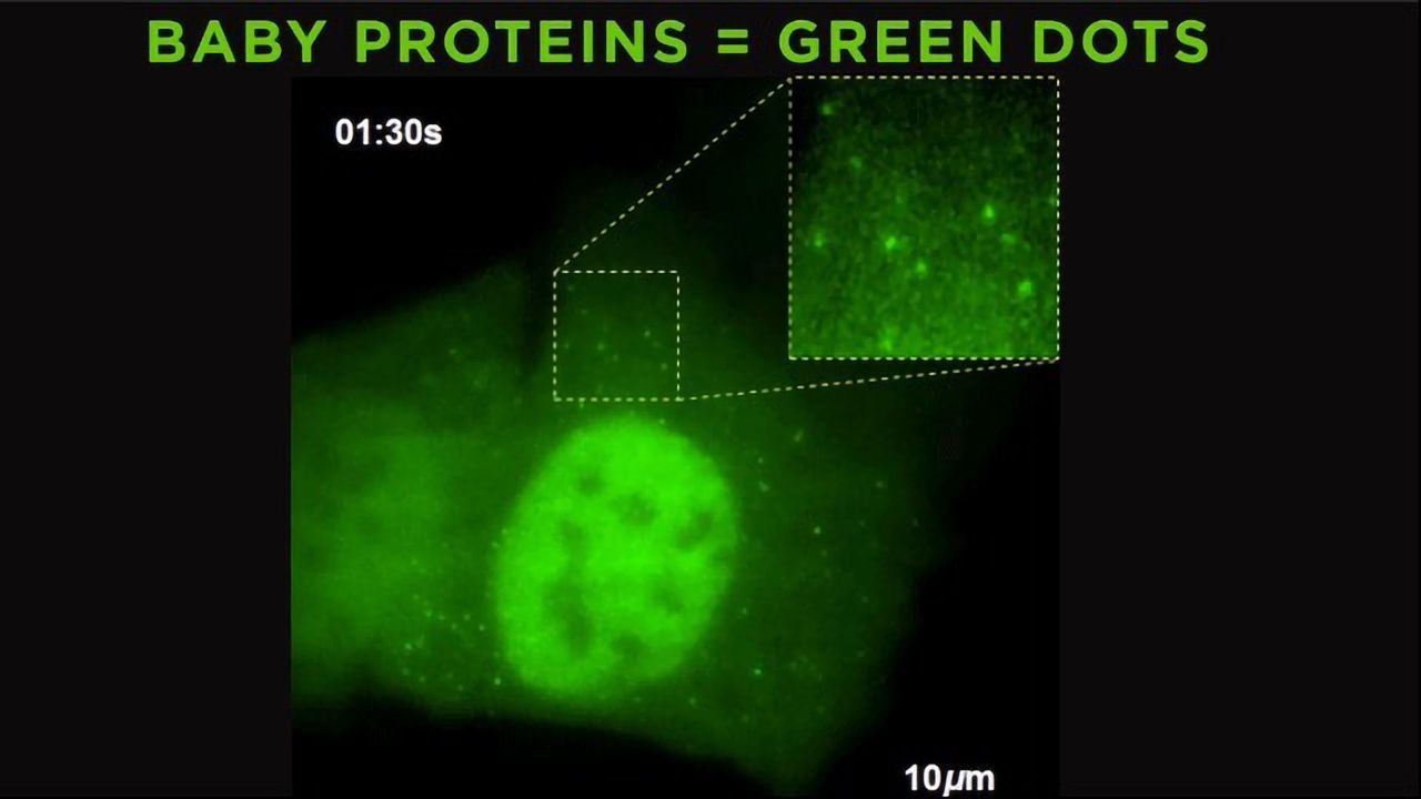 RNA No Longer Lost in Translation