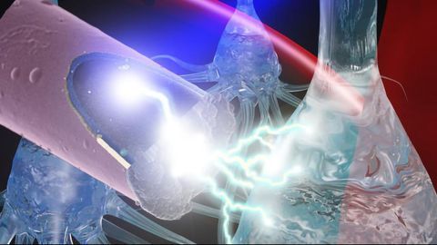 Ultrasmall Electrodes Could Make for Safer Neural Stimulation