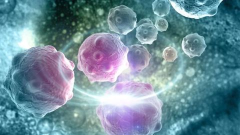 Measuring the "Games" Cancer Cells Play