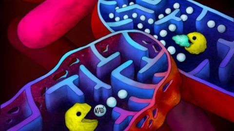 TB's Suicide System Could Be Its Undoing