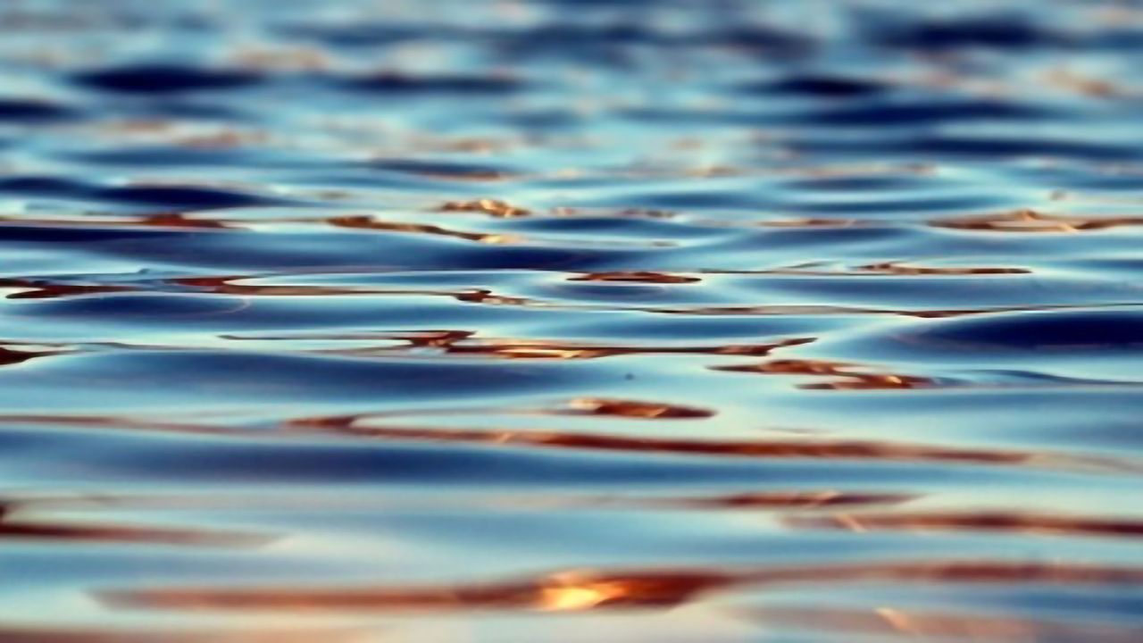 Speedy Detection of Cryptosporidium Contamination
