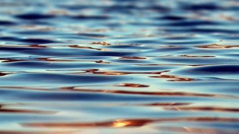 Speedy Detection of Cryptosporidium Contamination