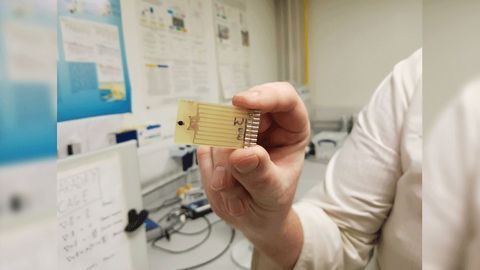 Needle-shaped Sensors Can Detect Multiple Sepsis Indicators