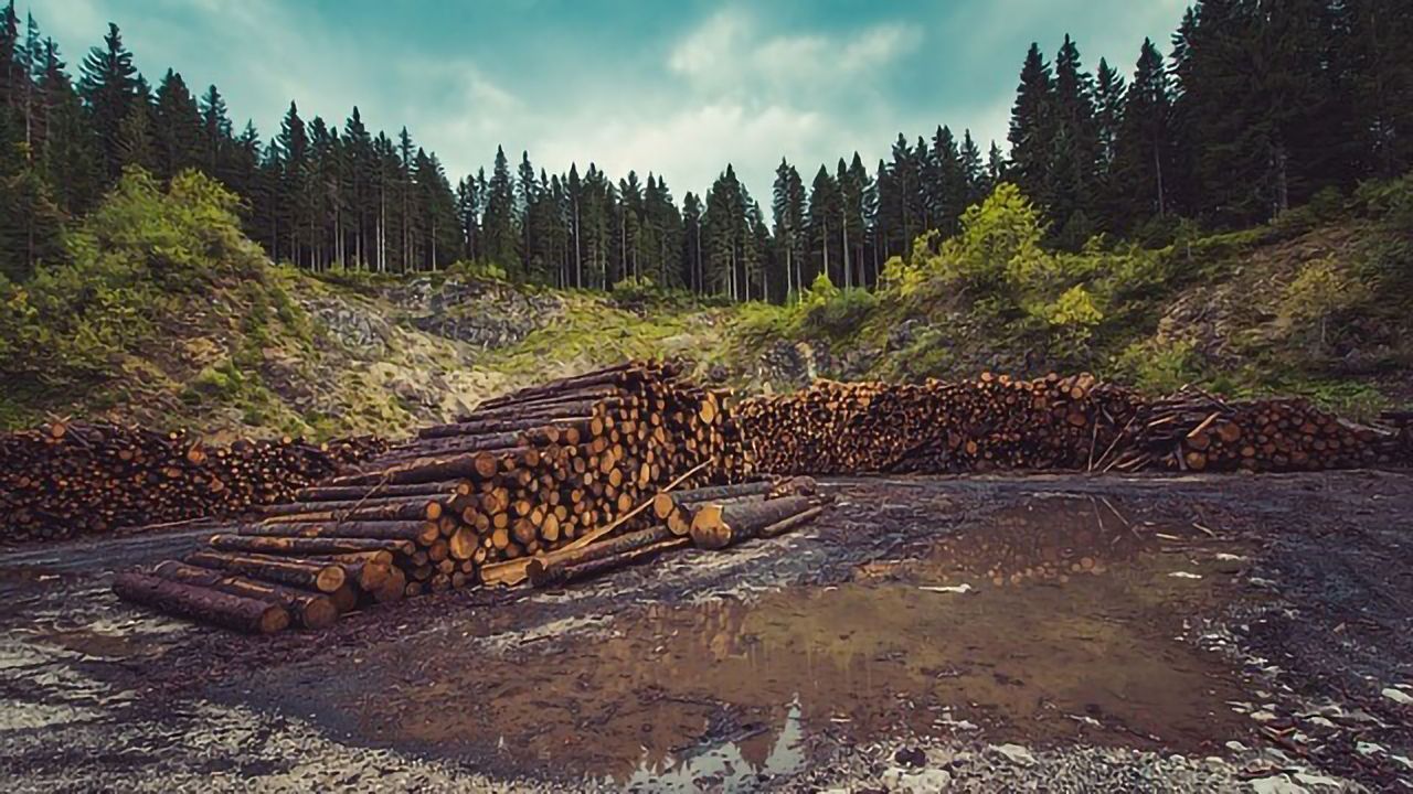 Land Use Changes Insufficient to Combat Global Warming