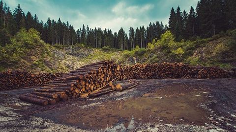 Land Use Changes Insufficient to Combat Global Warming