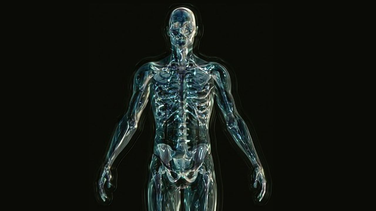 Lupus Linked to Gut Microbiome Imbalances