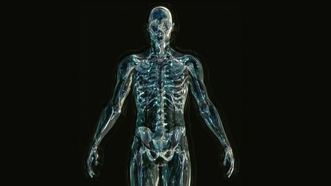 Lupus Linked to Gut Microbiome Imbalances