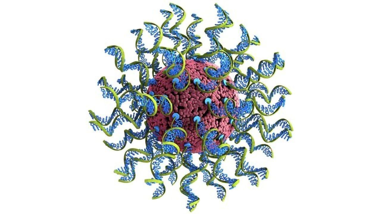 Machine Learning Swiftly Analyzes Nanomedicines for Cancer Immunotherapy