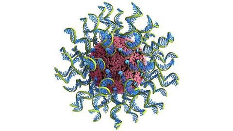 Machine Learning Swiftly Analyzes Nanomedicines for Cancer Immunotherapy