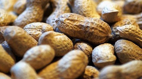 Link Found Between Food Allergy and MS Relapses