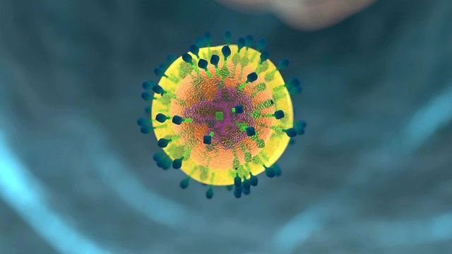 Universal Flu Vaccine Breakthrough: There's More to T Cells Than First Thought content piece image 