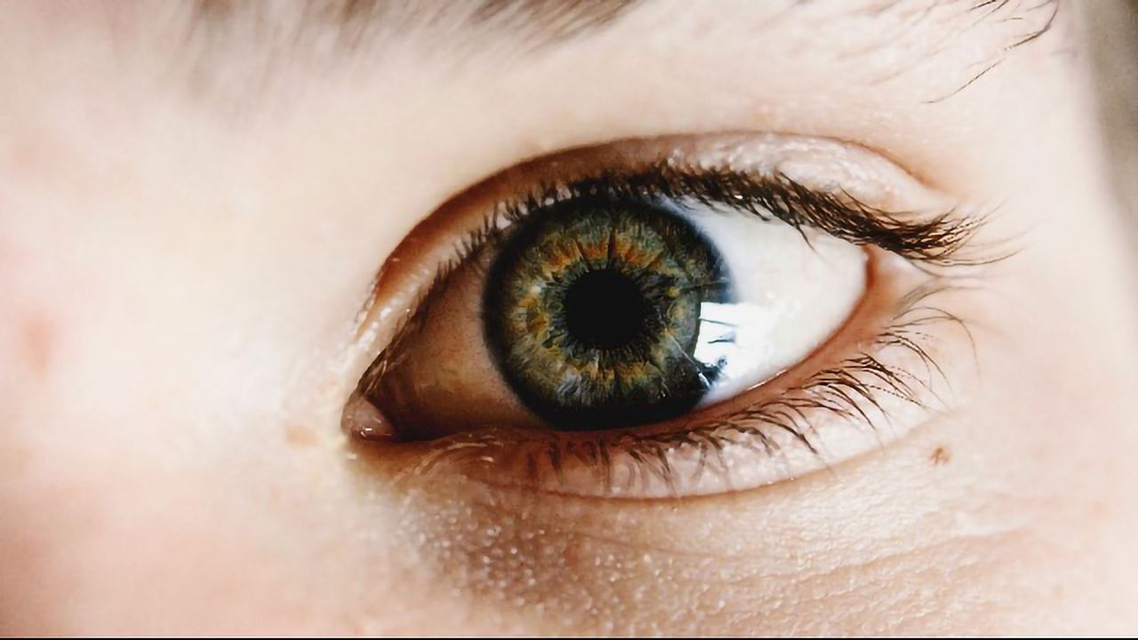 Did You Get It? I Can See It in Your Eyes