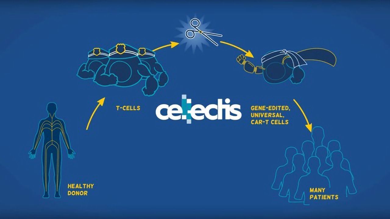 Is Off-the-Shelf Immunotherapy the Way Forward?