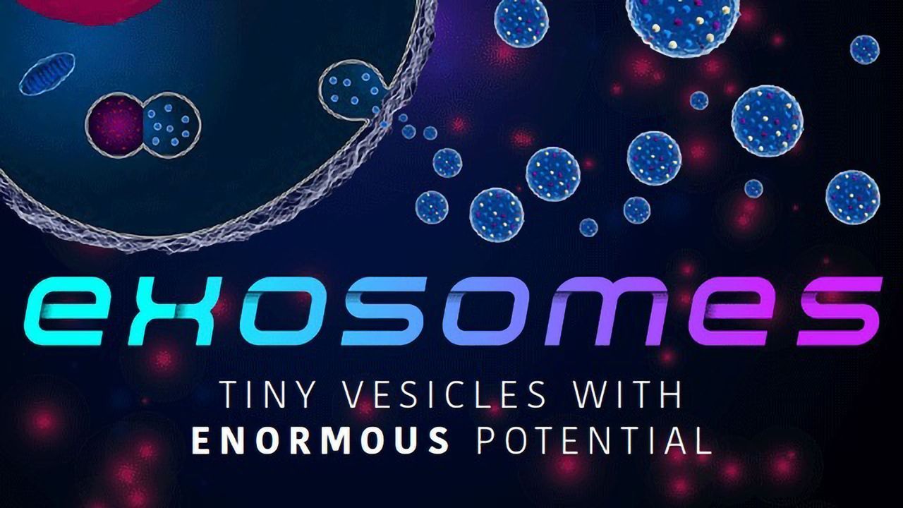 Exosomes: Tiny Vesicles With Enormous Potential