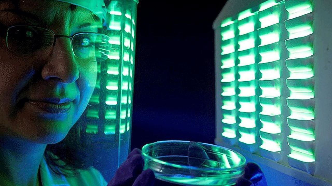 Study Could Lead to Sun Protection for Patients With Rare Genetic Disease