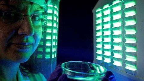 Study Could Lead to Sun Protection for Patients With Rare Genetic Disease