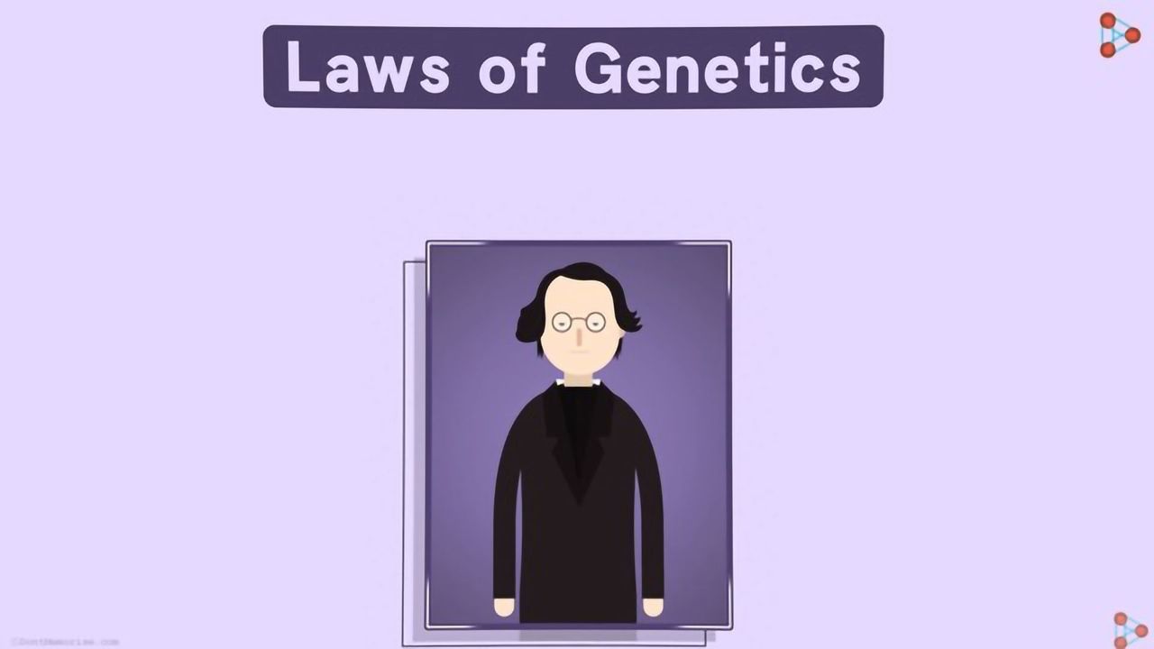 Laws of Genetics