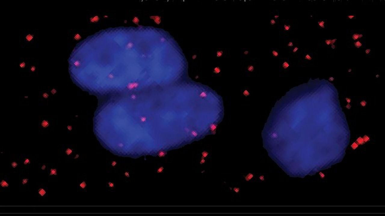 Growth Factors Counted in Single Cells