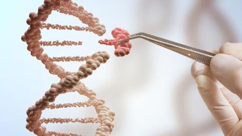Expanding the Gene Editing Toolbox: Scientists Sharpen Their Molecular Scissors