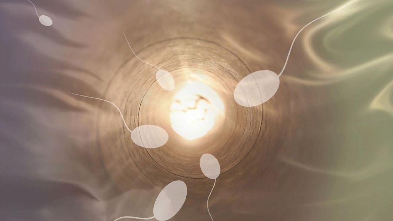 How is Sperm Count Affected by One Course of Chemotherapy?
