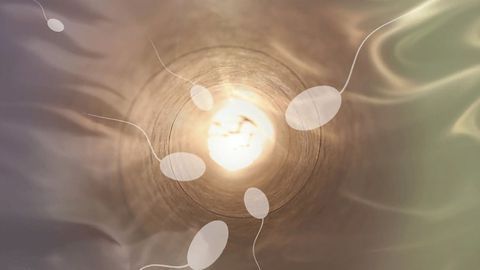 How is Sperm Count Affected by One Course of Chemotherapy?