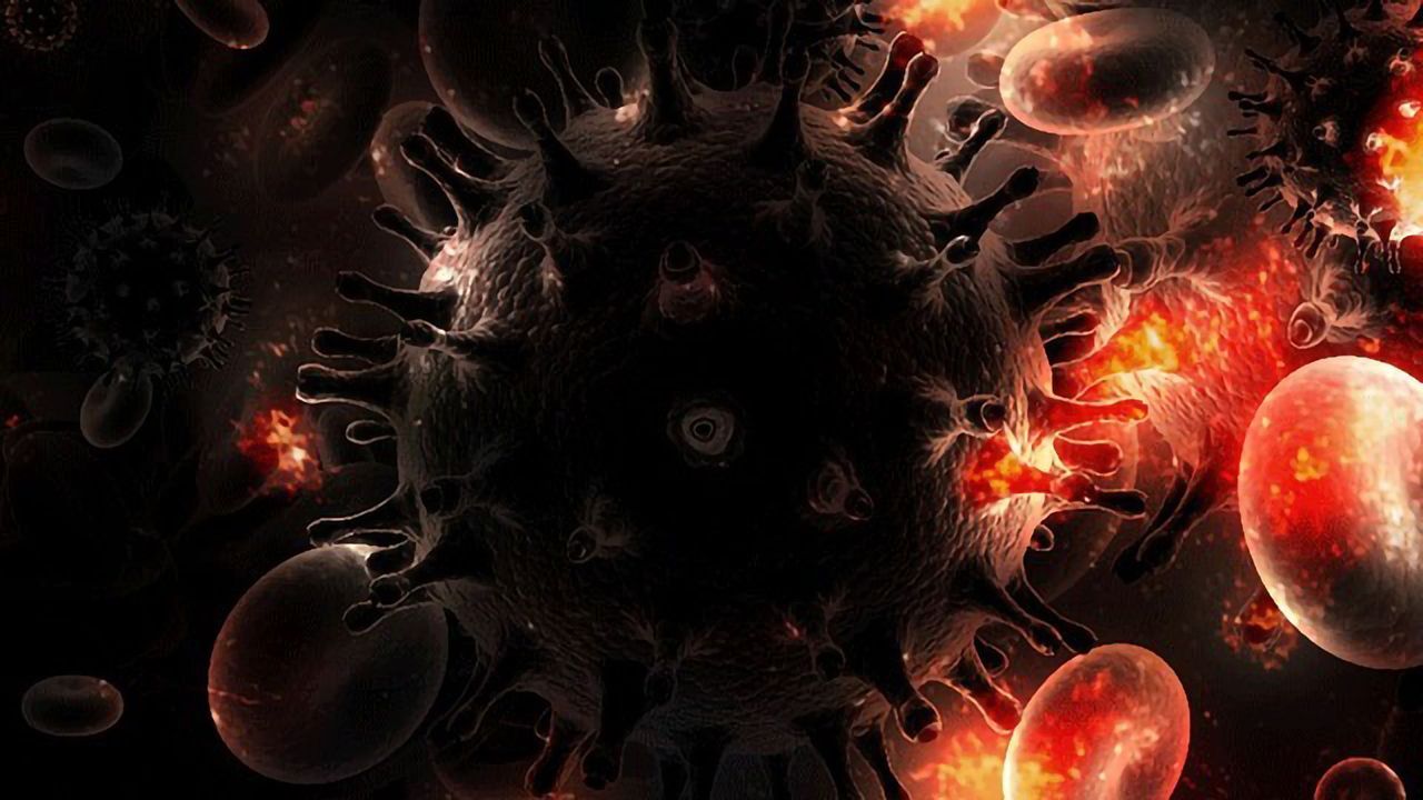 Key Mutations Pinpointed for Antibody Adaptability