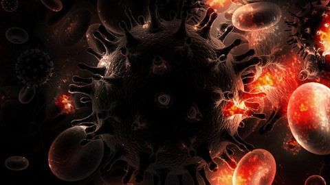 Key Mutations Pinpointed for Antibody Adaptability