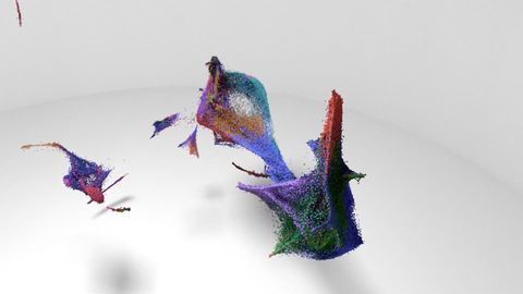 How Organs Grow: Cell by Single Cell
