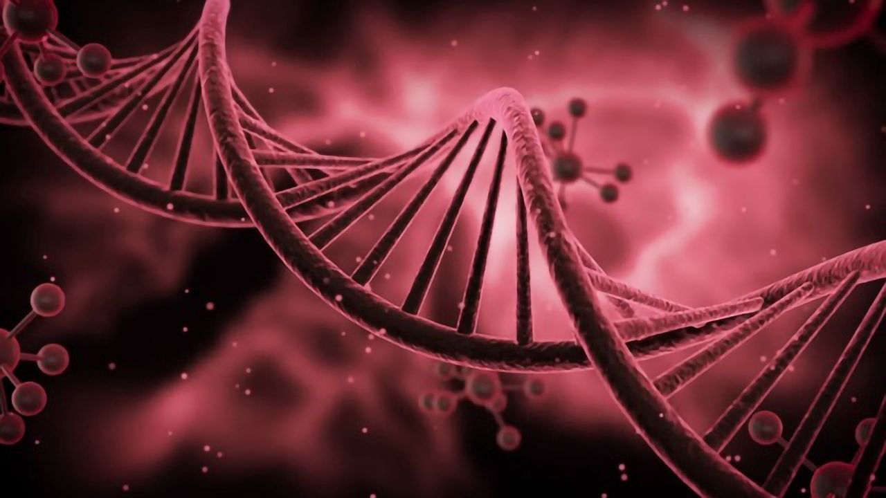 How Accurate Are Mail-in DNA Tests?