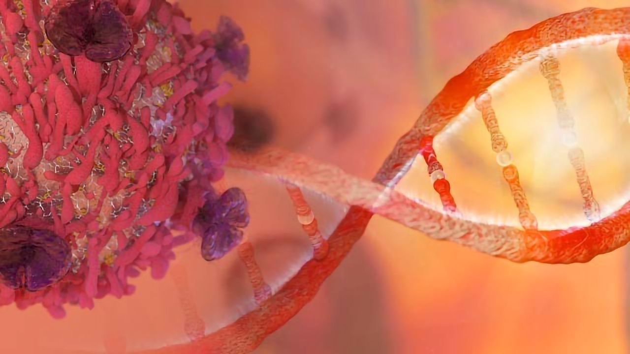 Chromosome "Scanner" Protects Against Cancer