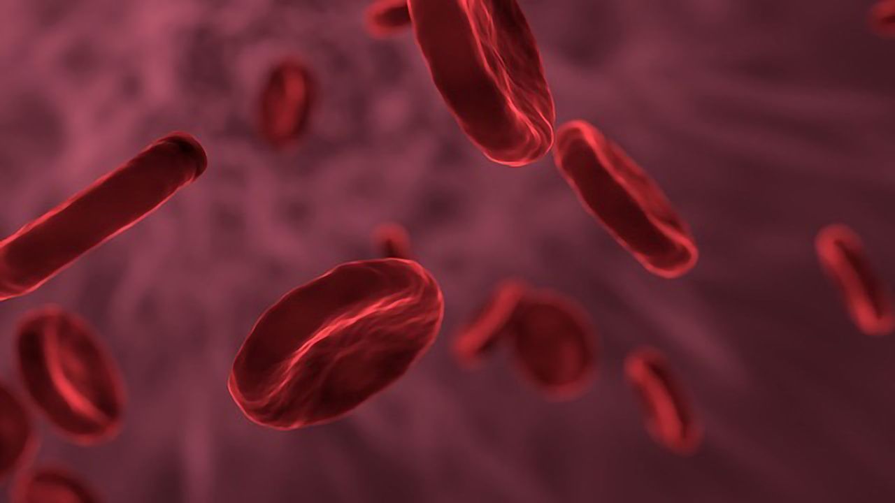 Protein “Switch” May Halt Progression of Sepsis