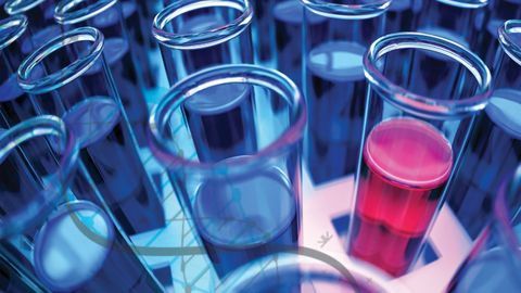 New Project to Improve Diagnosis and Treatment of Ovarian Cancer