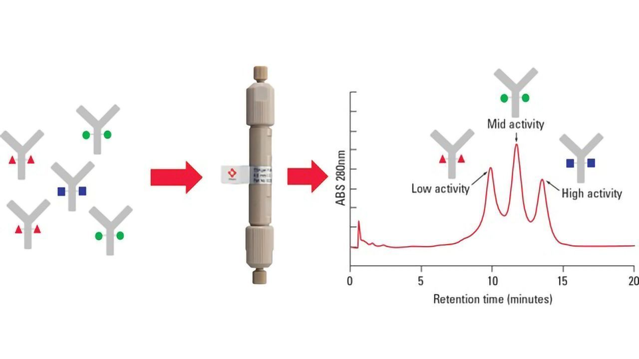 Tosoh Bioscience Introduces TSKgel® FcR-IIIA-NPR Columns