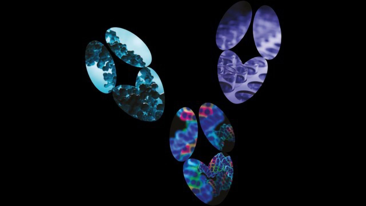 Absolute Antibody Develops Custom Purification Systems to Enable High-Throughput Recombinant Antibody Production