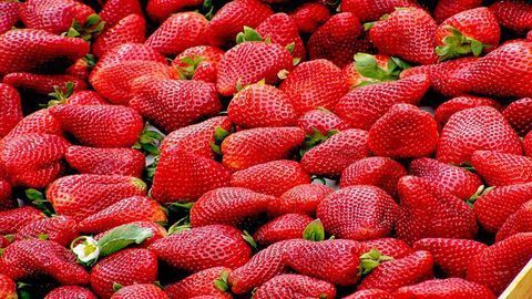The Perfect Strawberry