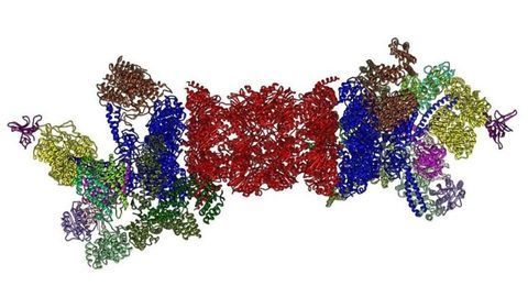 Cancer Treatment Clue Hiding in Microscopic Molecular Machine