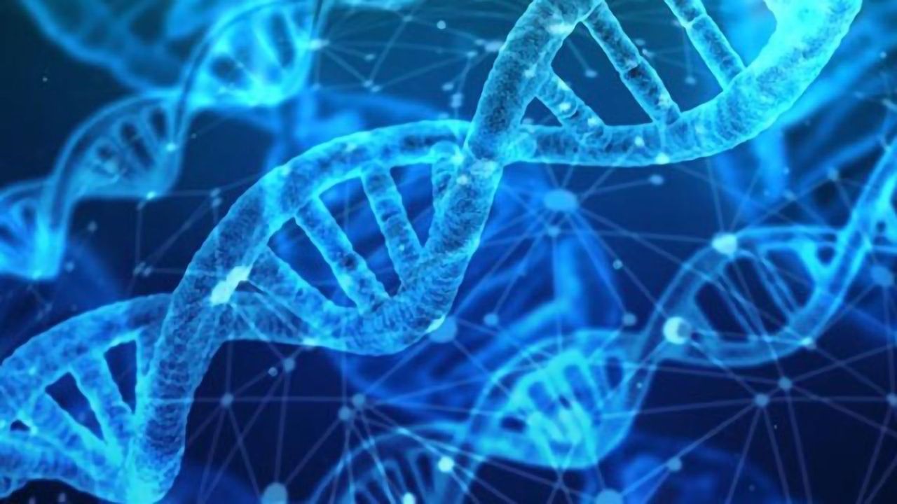 Genetic Test Improves Safety of Inflammatory Bowel Disease Treatments