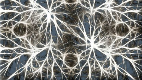 The Hidden Role of "Silent" Brain Cells