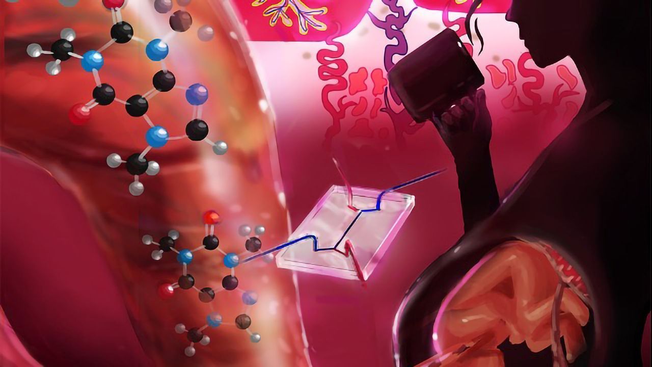 Looking at How Caffeine Moves From Mother to Fetus